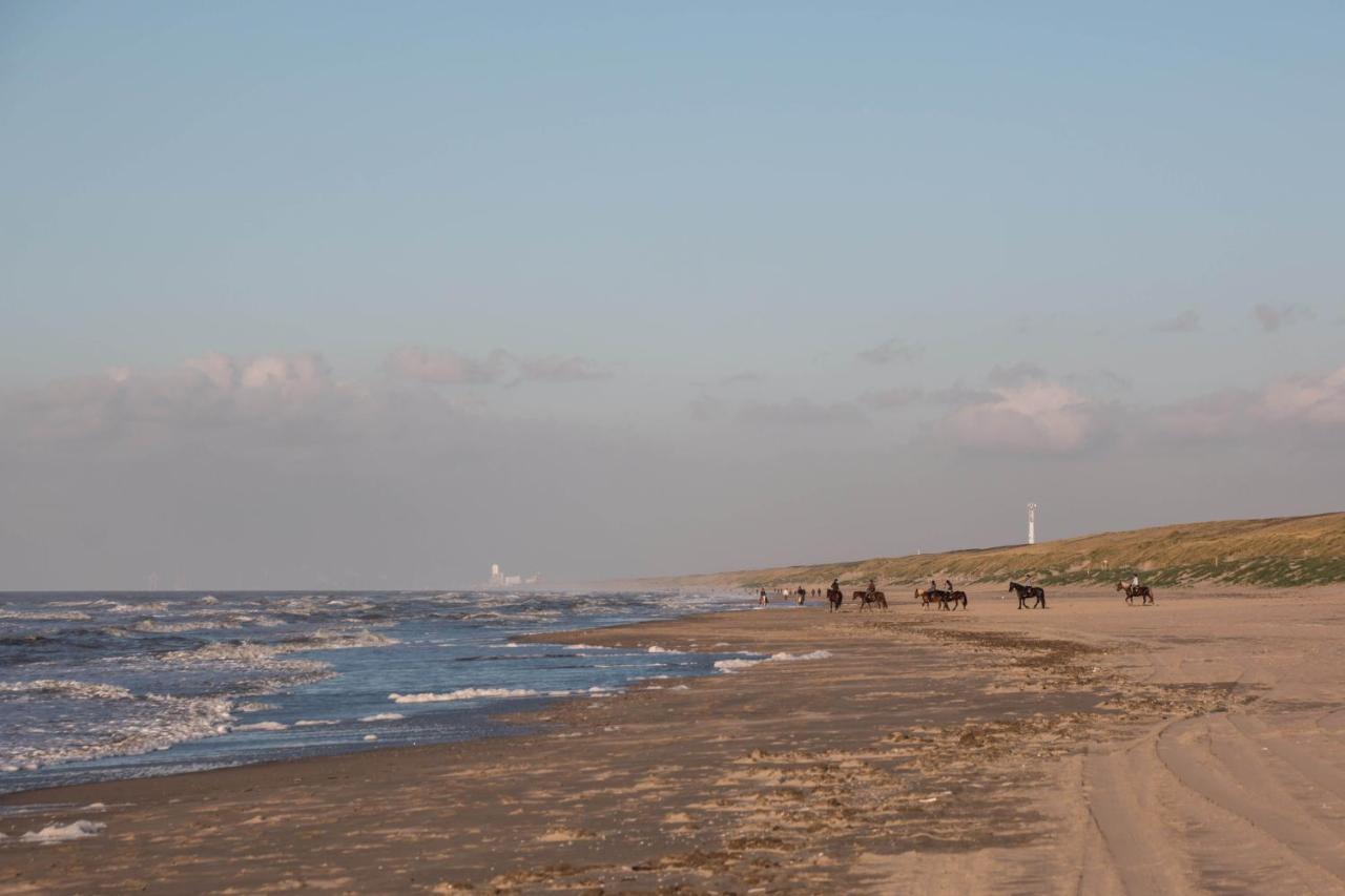 The Flying Pig Beach Hostel Noordwijk Exteriér fotografie